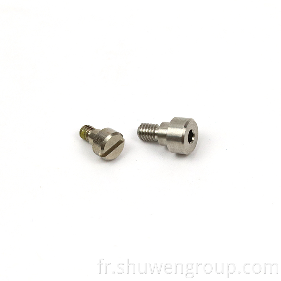 Stainless Steel Screws by Cnc